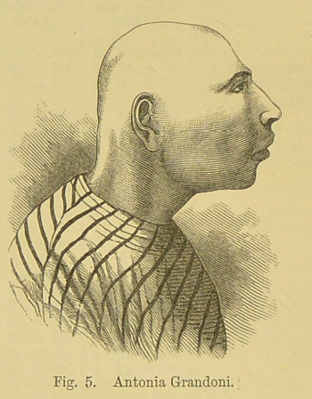 Original period line drawing of Antonia Grandoni - side view