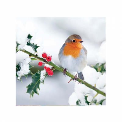 Robin in snow Christmas card image