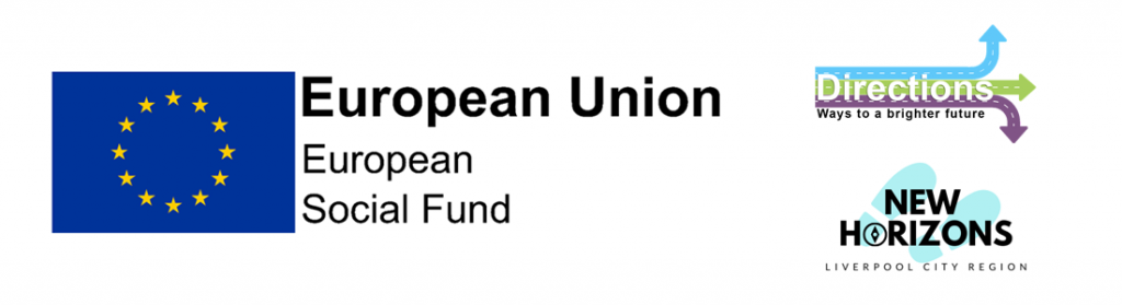 EU social fund, Directions and New Horizons logos
