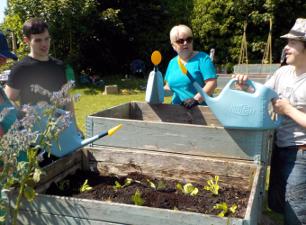 The Brain Charity's therapeutic gardening group