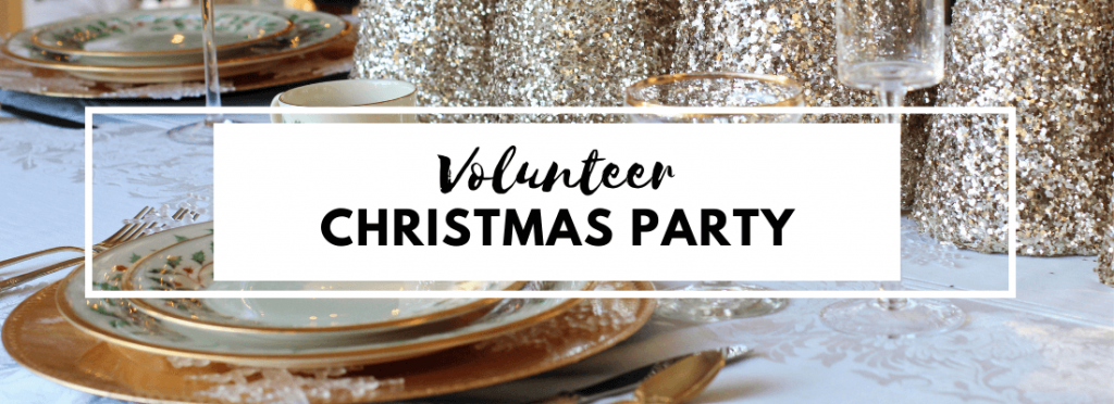 Volunteer Christmas party header image with sparkle background