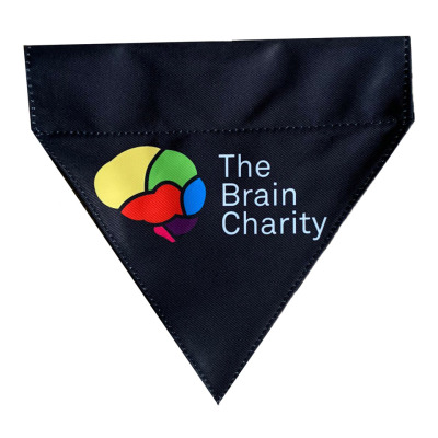 Front shot of The Brain Charity pet bandana