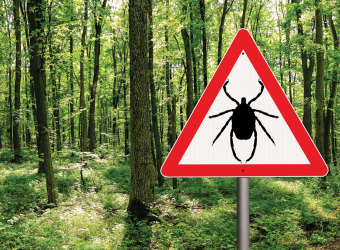 Forest with Lyme disease tick warning sign