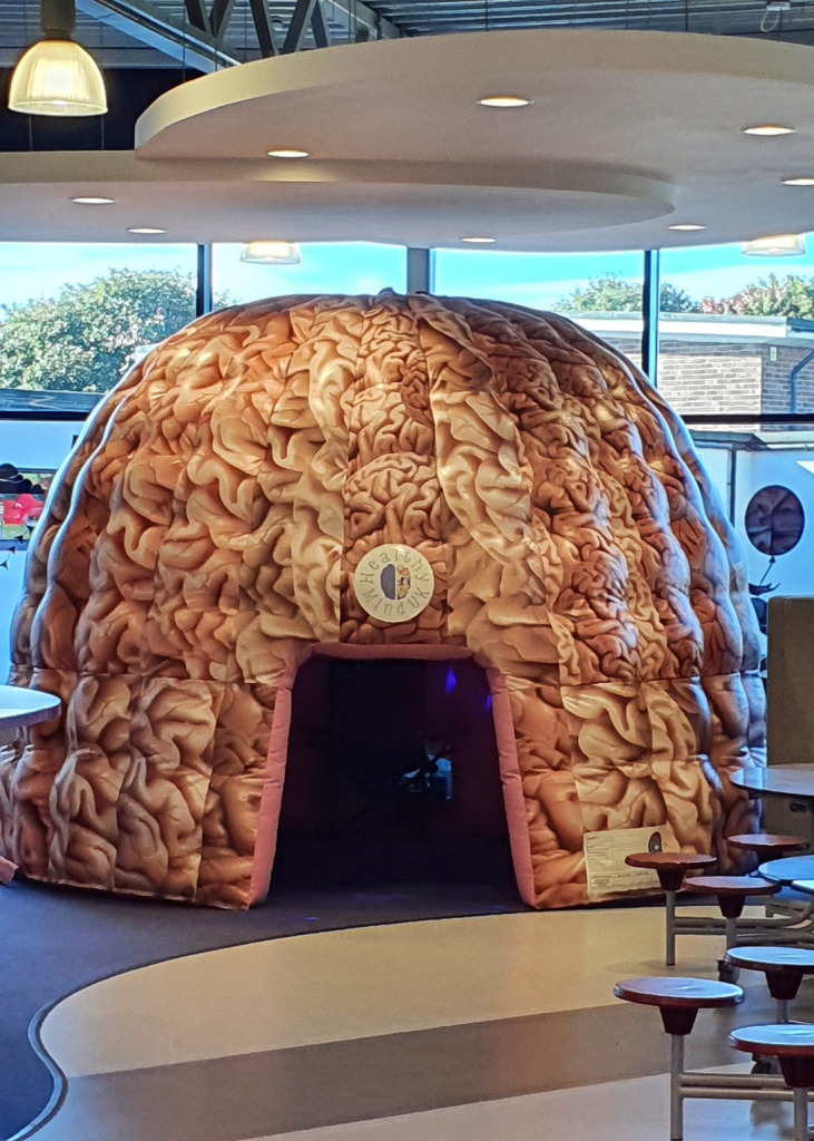A large walk in inflatable brain