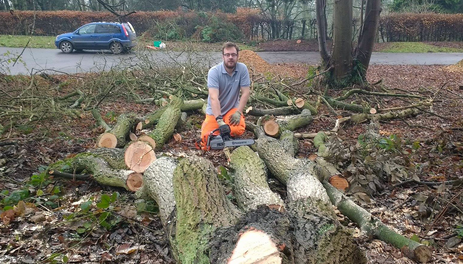 David working as a tree surgeon