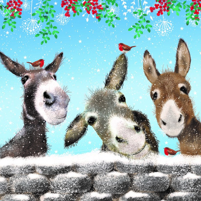 Three donkeys looking over a snow covered wall with robins