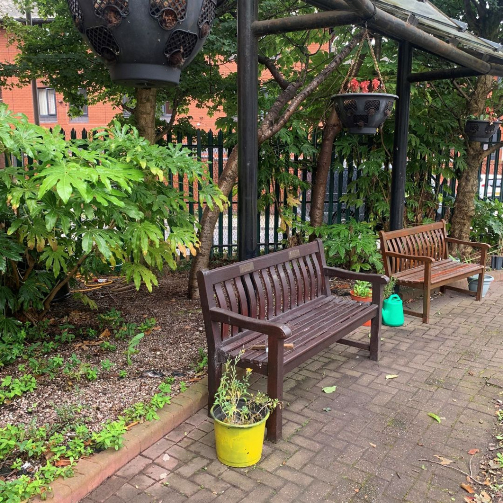 Two garden benches on a path with bushes in background