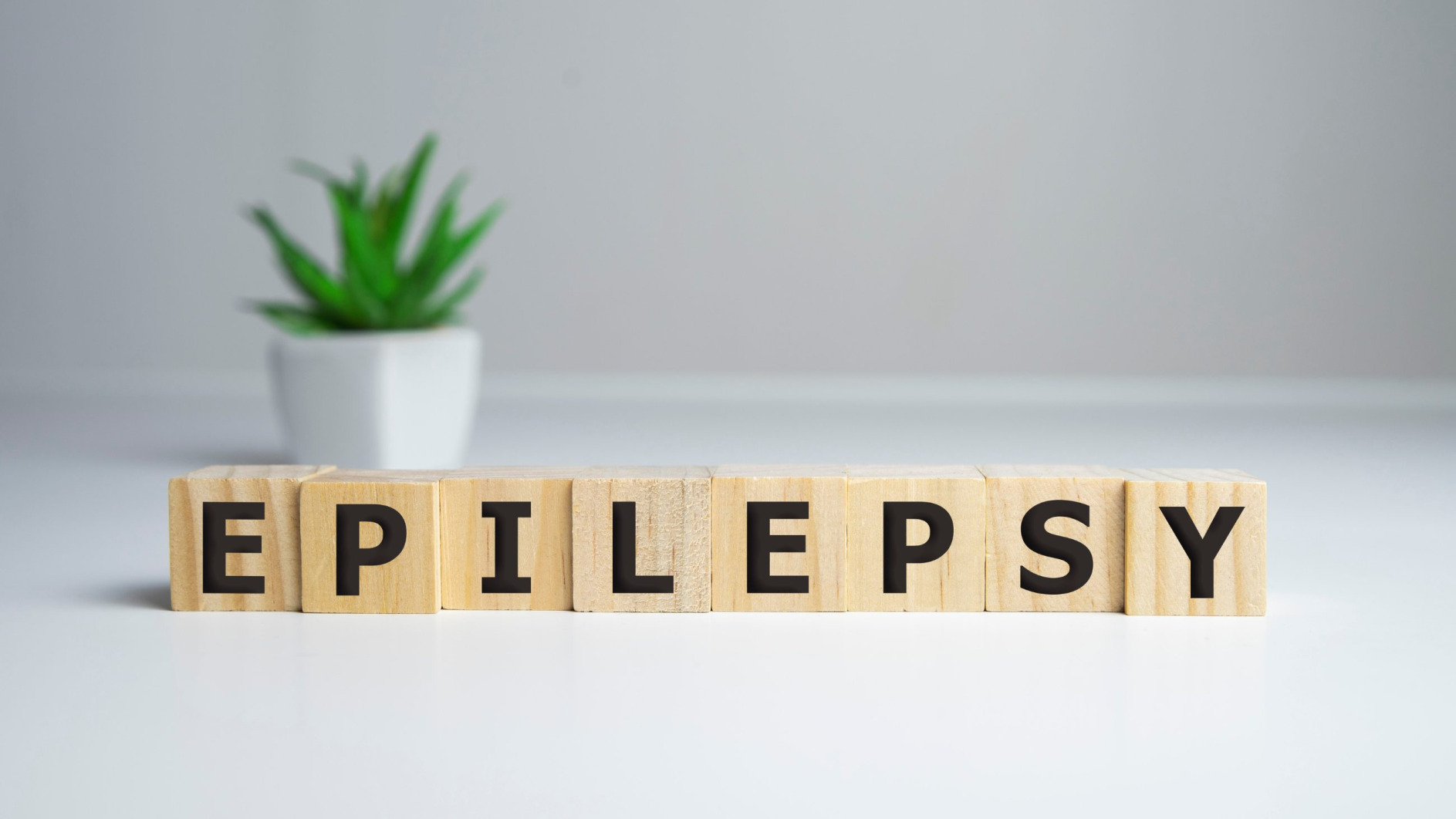 An image of building blocks spelling out the word 'epilepsy'