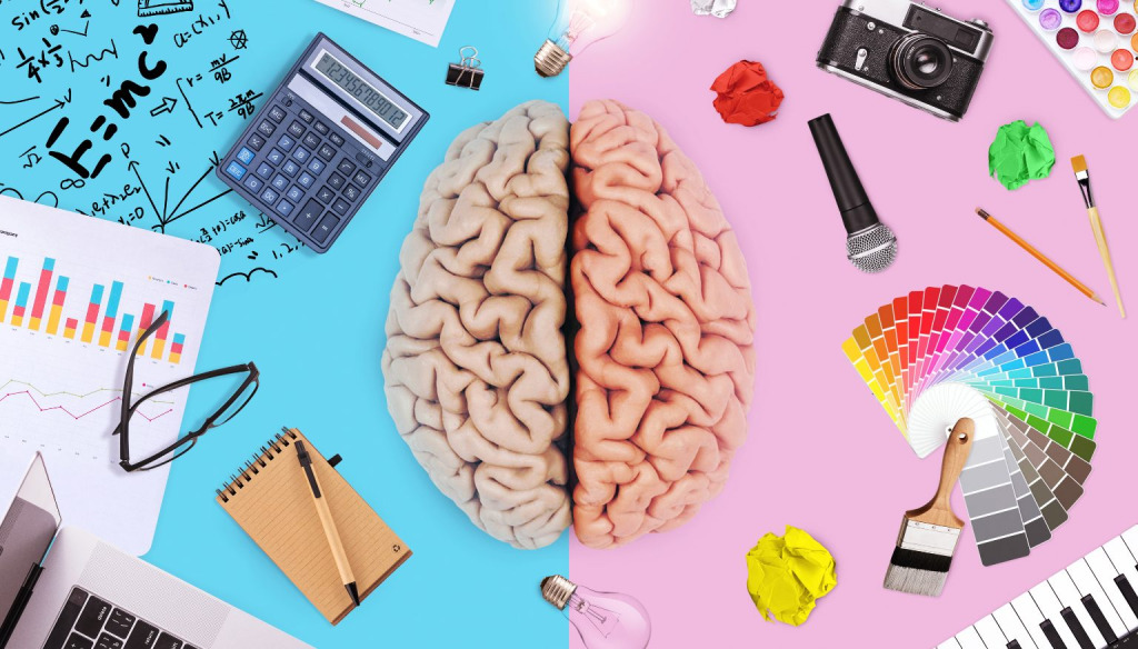 Brain viewed from above, with scientific formulae, calculator, notebook and graphs on the left and a camera paints, keyboard and other creative tools on the right.