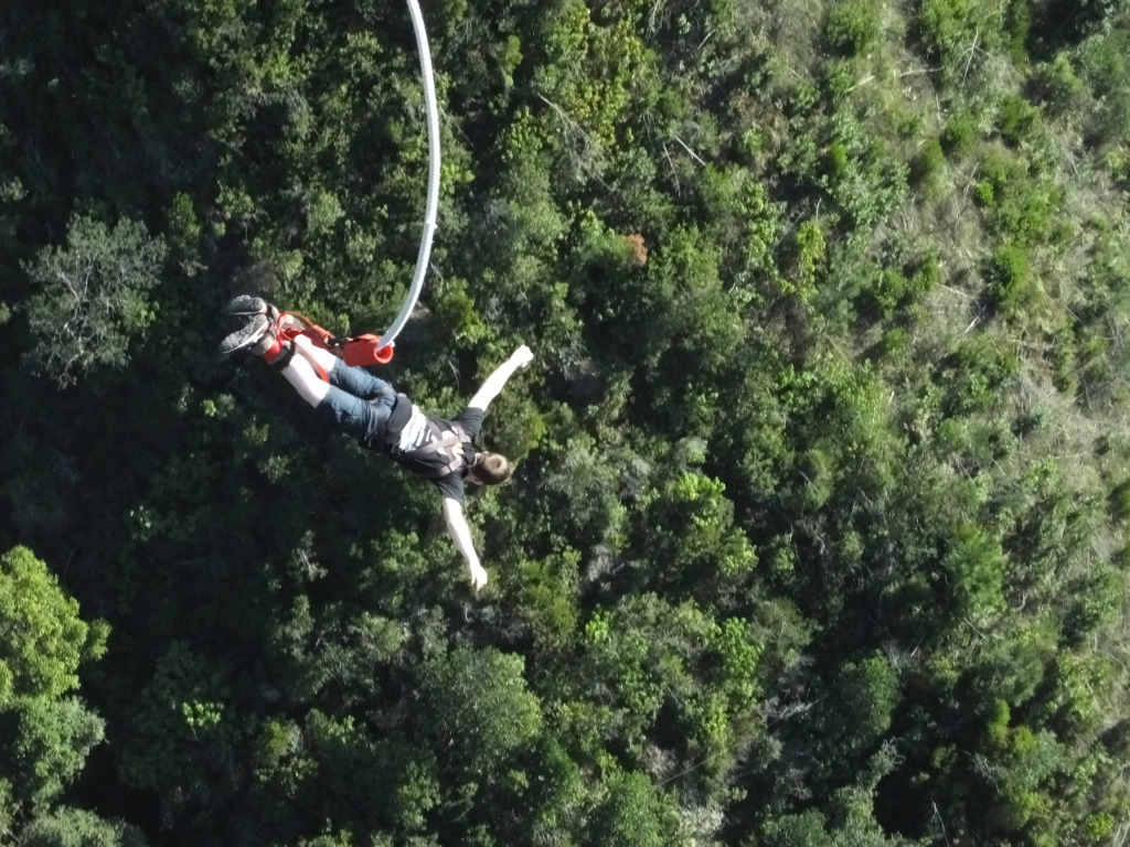 Adam bungee jumping