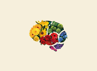 Head Matters Brain Flowers header