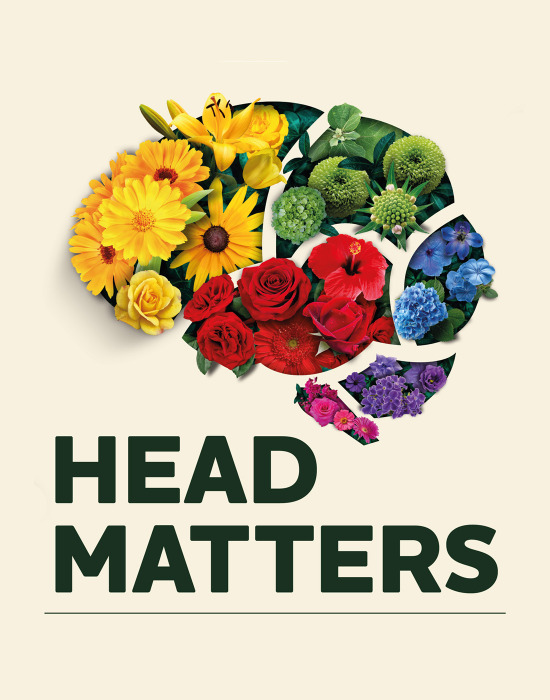 A brain image showing the main sections of the brain, side on in the style of The Brain Charity logo. Each section is filled with different coloured flowers and the words Head Matters are underneath.