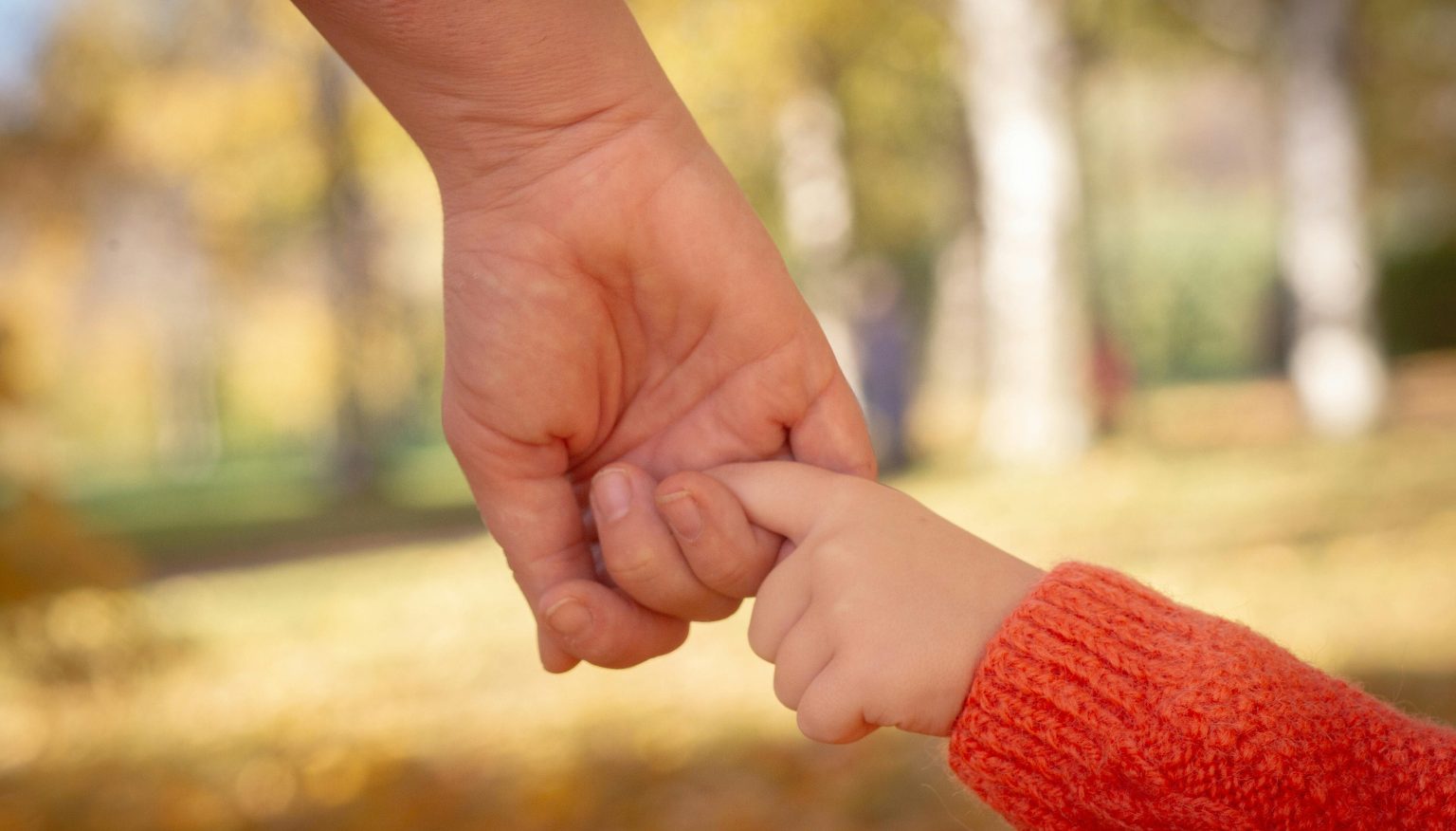 An adult holding a child's hand